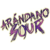 Arándano Sour - Six Pack