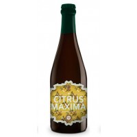 Sesma Brewing Citrus Maxima 50 cl - Cervezas Diferentes