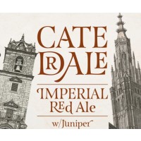 Domus / Letra Catedrale 