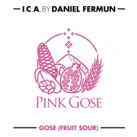 Pink Gose - Cerveza Artesana Abirradero - Fruity Sour 33cl - Iberian Craft