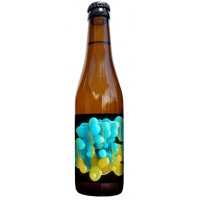 Cervesa Màger  Simcoe Single Hop 33cl - Beermacia