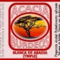 Acacia Burdeos