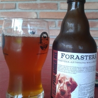 Forastera Cerveza Artesana. Paul Amber Ale - Lebassi