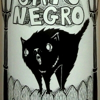 Nómada Gato Negro 