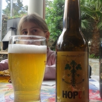 Cerveza CITRIC (33cl - 5,8% Alc ) - Hope