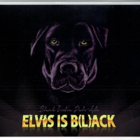 Sesma Elvis is B(l)ack