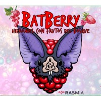 Hidromiel Rasmia Bat Berry 33 cl. - Cervezasartesanas.net