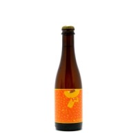 Mikkeller SpontanApricot - The Beer Cow