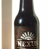 BIDASSOA & BOULEVARD Nexus Botella 33cl - Hopa Beer Denda