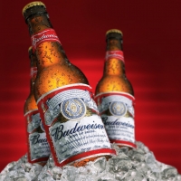 BUDWEISER SIX PACK BOT 343ML - Beerhouse Perú