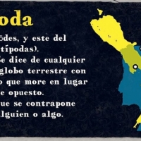Cotoya Antípodas NZ Waimea IPA