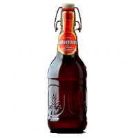 Kunstmann Gran Torobayo 0,5L - Mefisto Beer Point