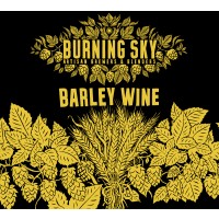 Burning Sky Brewery  Barley Wine  9.5% 440ml Can - All Good Beer