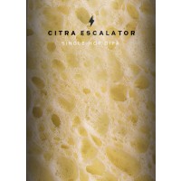 Garage Beer Co - Citra Escalator - 8% (440ml) - Ghost Whale