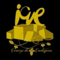 Cerveza Icue Cerveza Icue