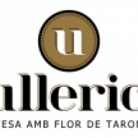 Sullerica Cervesa Artesana products