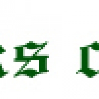 Ducks Castle Ducks Castle