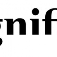 Magnifique Brands Magnifique Brands