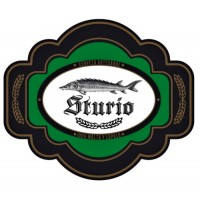 Sturio 