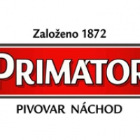 Primátor Tchyně / Mother In Law 