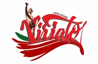 Cerveza Artesana Viriato