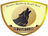Davidos