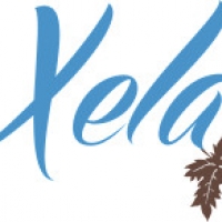 Cerveza Xela products