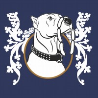 Perro Negro Perro Negro