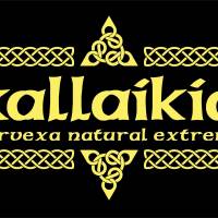 Productos de Kallaikia