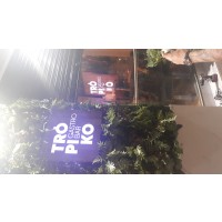 Restaurante tropiko Restaurante tropiko