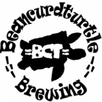 Beancurdturtle Beancurdturtle