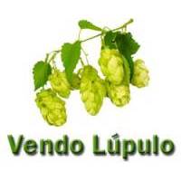 Vendo Lúpulo Vendo Lúpulo