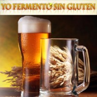  Yo Fermento Sin Gluten - 0 products