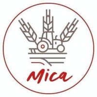  Cerveza Mica - 21 products