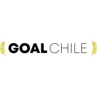 GoalChile - 25 productos